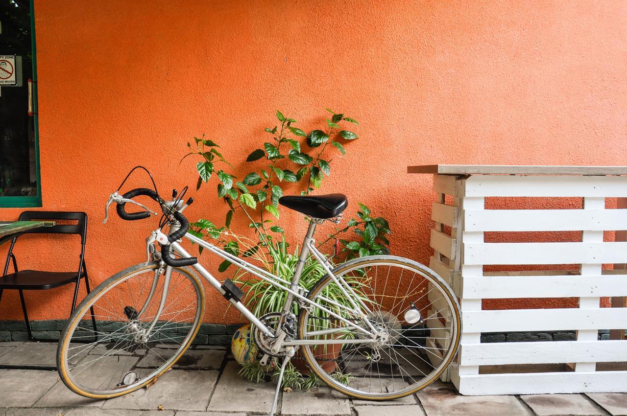 Funky Mamaliga Hostel Kiszyniów Zewnętrze zdjęcie